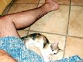 caramel 06-04 039
